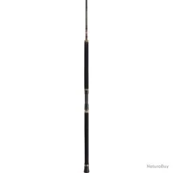 Canne Penn Regiment II Popping - 2,70 M / 60 - 120 G -Penn Boutique 00035 Canne Penn Regiment II Popping 2 70 m 60 120 g